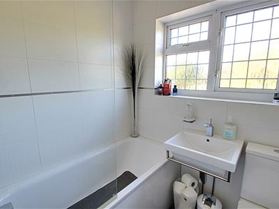 Picture 11